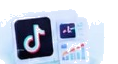 TikTok Automation